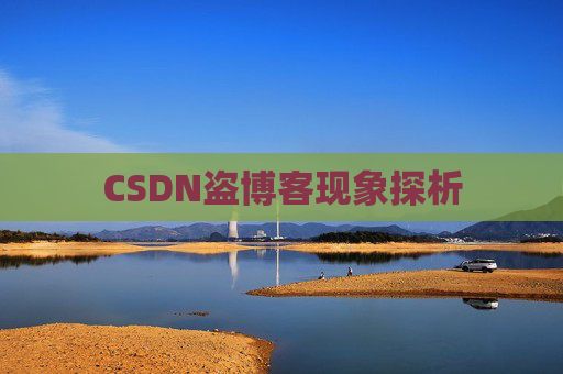 CSDN盗博客现象探析 CSDN盗博客现象探析